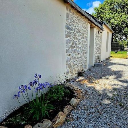 Gite De Felicite, Calme Et Nature Savenay Extérieur photo